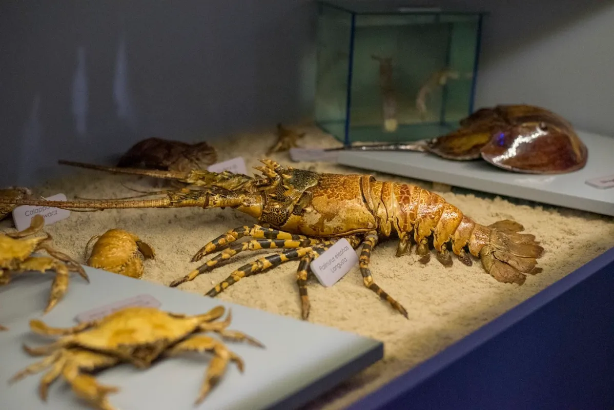 Muzeum Fauny i Flory Morskiej i Śródlądowej w Jaworzu